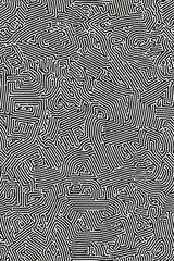 Geometric Black and white line art pattern with small, dense lines forming an abstract maze or network on a pure background of the same color. 