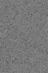 Geometric Black and white line art pattern with small, dense lines forming an abstract maze or network on a pure background of the same color. 
