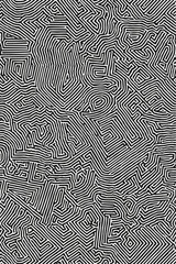 Geometric Black and white line art pattern with small, dense lines forming an abstract maze or network on a pure background of the same color. 