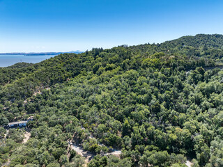 Aerial photos of a forested hillside in San Rafael, California, highlighting dense tree coverage, winding roads, and panoramic views of surrounding hills, residential properties, and the San Pablo Bay