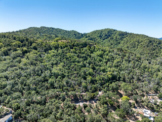 Obraz premium Aerial photos of a forested hillside in San Rafael, California, highlighting dense tree coverage, winding roads, and panoramic views of surrounding hills, residential properties, and the San Pablo Bay