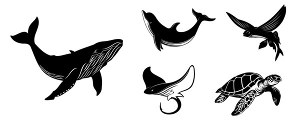 Obraz premium collection of marine animal illustrations 3