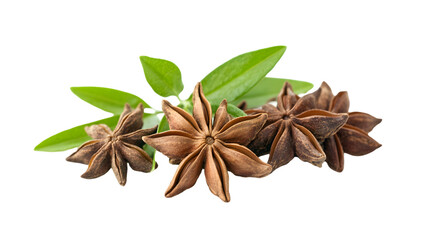 Fresh Anise Plant Isolated on Transparent Background for Culinary Designs
