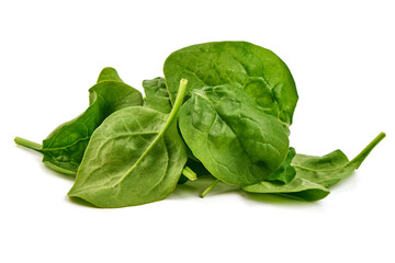 Fresh Spinach Leaves Isolated on White Background