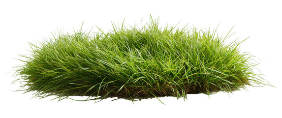 Grass clump on transparent PNG image for composite use