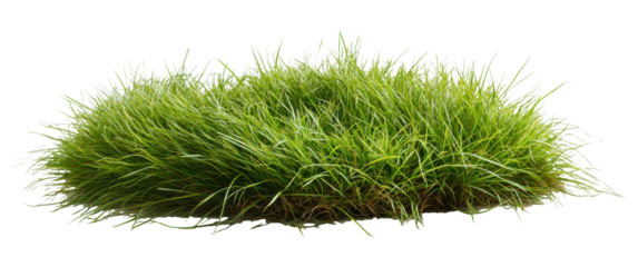 Grass clump on transparent PNG image for composite use