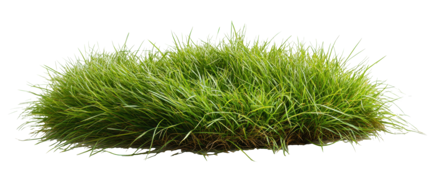 Grass clump on transparent PNG image for composite use