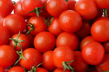 新鮮なミニトマト