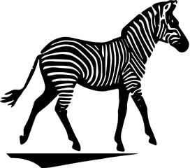 zebra vector illustration