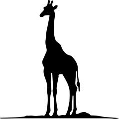 giraffe vector illustration
