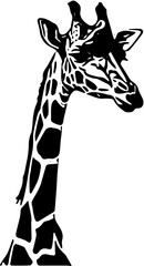 giraffe vector illustration