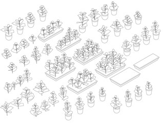 A drawing of a garden with many potted plants. The plants are arranged in various sizes and shapes, and some are grouped together in clusters. The garden appears to be well-maintained and organized