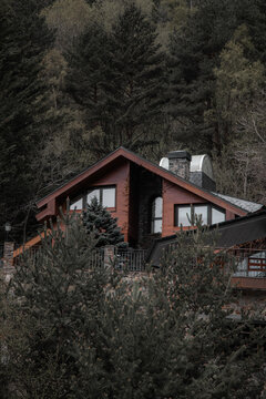 cabin in the woods