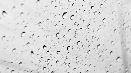 Raindrop Serenity: A delicate display of raindrops clings to a surface, each bead a tiny world reflecting light and shadow in a monochrome study of nature's artistry.