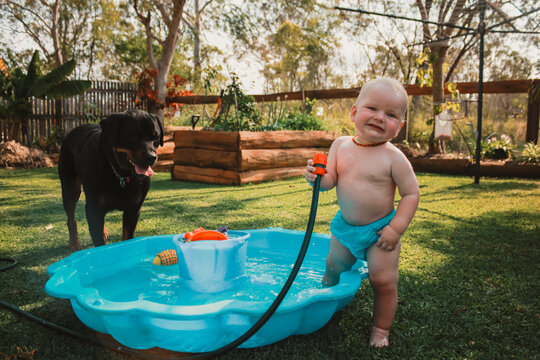 Baby boy playing in backyard shell pool with pet rottweiler dog