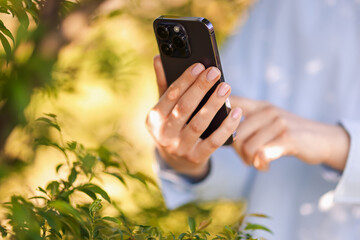 Woman using plant recognition application on smartphone outdoors, closeup