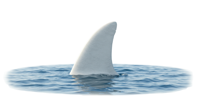 Isolated Shark Fin in Water