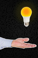 Hand Presenting a Brilliant Idea: Glowing Light Bulb Hovers Above