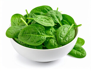 a bowl of fresh spinach isolated on a white background