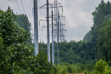 High voltage power line stretching through the forest
