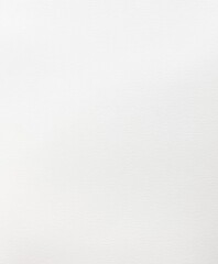 Fototapeta premium white canvas texture