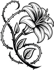 Let me know if you'd like a shorter or more stylized version