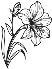 Black and white floral plant illustration with a lily flower design element