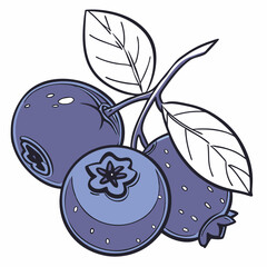 Blueberries with Leaves – Fresh Fruit Vector Drawing