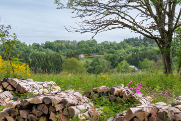Campagne et prairie d'altitude dans les Vosges