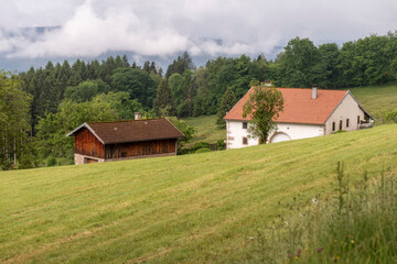 Ferme vosgienne et sa grange en altitude et en bordure de for&ecirc;t