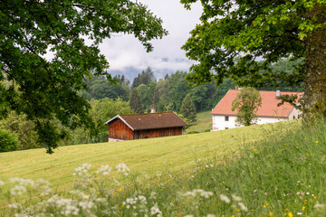 Ferme vosgienne au milieu d'une prairie d'altitude