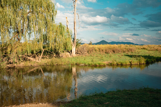 Still creek running through tranquil rural Australian setting
