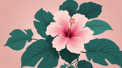 A pink hibiscus flower displayed on a pink background, emphasizing its lush petals and vivid hue in a harmonious composition.