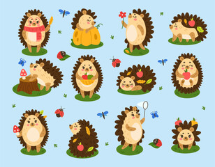 Hedgehog, woodland mascot. Cute animal, cartoon autumn wildlife or zoo character different actions. Forest happy childish design. Funny ladybug and butterfly vector creature tidy isolated illustration