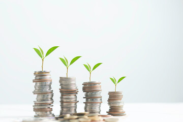 Row of coins with a tree growing on the coins. Concept of finance banking savings and interest profits investment.