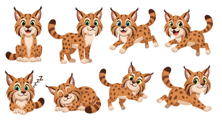 Obraz premium collection set of cartoon bobcat vector