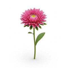 Isometric 3D aster flower 