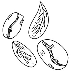 vector featuring hand-drawn coffee beans and leaves in a simple black line art style on a white background. Perfect for cafe branding, packaging, textile, and wallpaper designs.