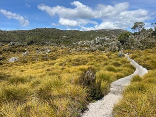 Cradle Mountain National Park, Tasmania, Australia