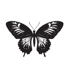 Elegant Butterfly Silhouette Icon Simple Black Design for Nature and Beauty silhouette