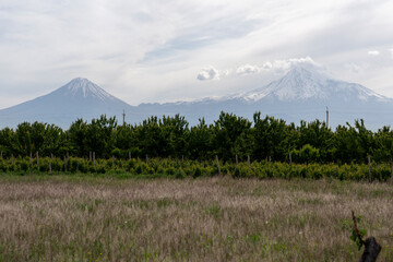 View of the Ararat Plain with the Biblical Mount Ararat
