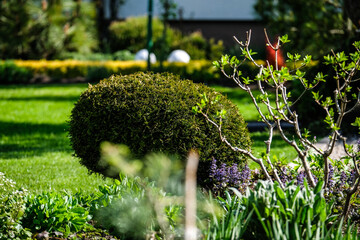 A vibrant, well-maintained ornamental Lush Flower Garden with Decorative Rock and Mulch. Ideal image for themes related to landscaping, gardening, backyard design, and nature aesthetics.