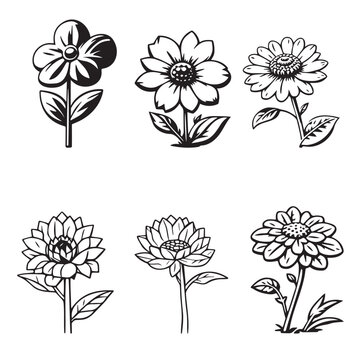 set of flowers
