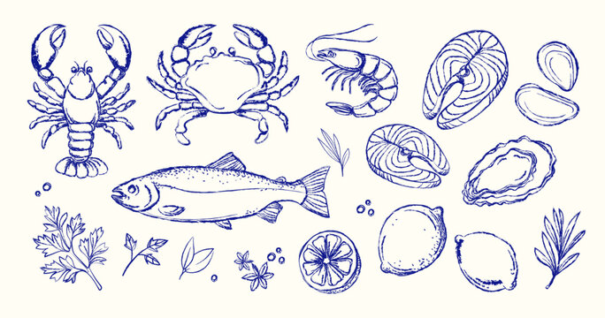 Hand drawn seafood vector set in vintage style with fish, crab, shrimp, shellfish, herbs, and lemons. Restaurant menu, packaging, cookbooks, branding, culinary. Engraved Style Marine Food Elements