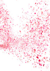 Pink Confetti Sale Explosion