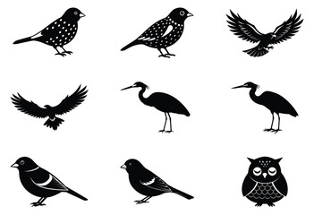 Fototapeta premium Art & Illustration Bird