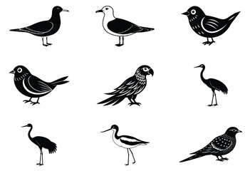 Fototapeta premium Art & Illustration Bird