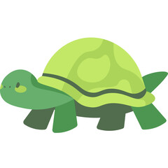 turtle vector illustration