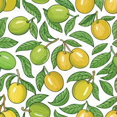 Hog Plum Vector Illustration with Seamless Pattern Design