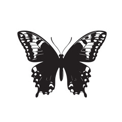 Fototapeta premium Isolated Butterfly Silhouette Icon Silhouette